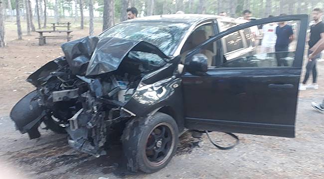 Mesire Alanında Kontrolden Çıkan Otomobil Ağaca Çarparak Durabildi, 3 Yaralı