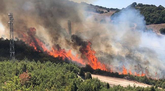 Balıkesir'de Makilik Alanda Çıkan Yangına Müdahale Ediliyor