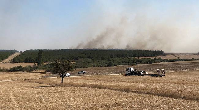 Çanakkale'nin İki İlçesinde Orman Yangını