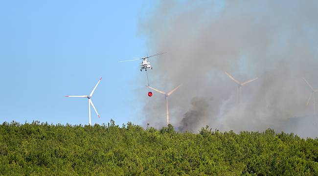Çanakkale ve Tekirdağ'daki Orman Yangınları Kontrol Altına Alındı