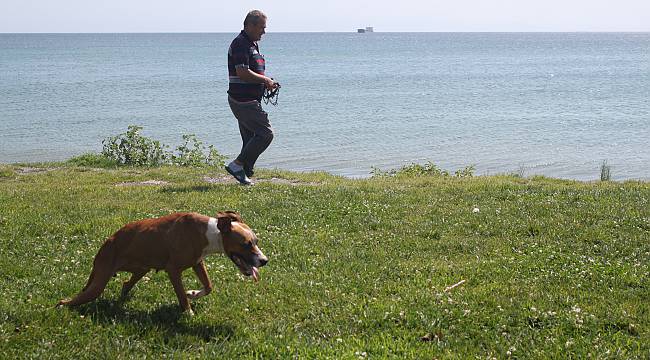 Felçli Köpeğine Her Gün 2 Saat Antrenman Yaptırıyor