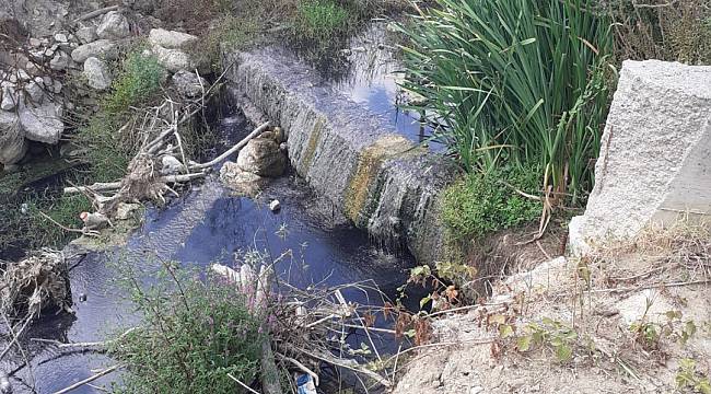 Kocaeli'de Dereyi Kirleten Fabrikaya 177 Bin lira Ceza Kesildi
