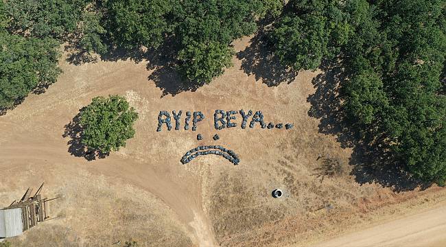 Mesire Alanında Toplanan Çöplerle Piknikçilere Esprili Tepki