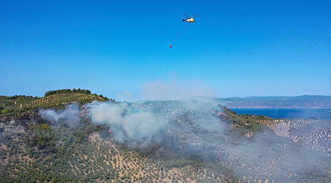 Mudanya'da Ormanlık Alanda Çıkan Yangın Kontrol Altına Alındı