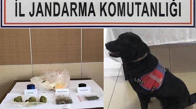 Uyuşturucu Operasyonunda 1 Kişi Tutuklandı