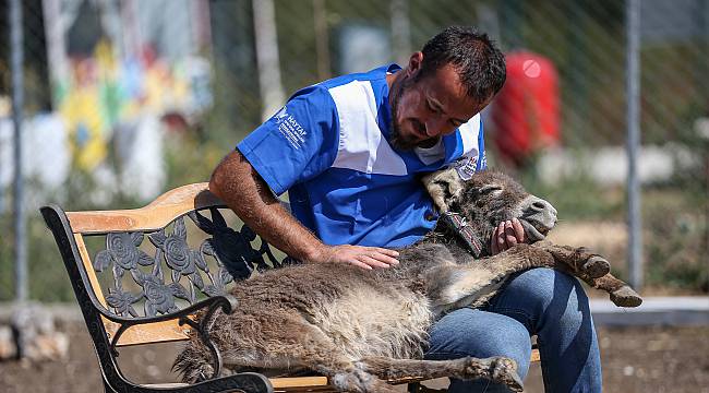 Can Dostların Sevgi Dolu Sığınağı, "Emekli Hayvanlar Çiftliği