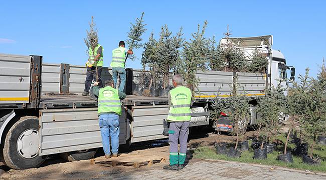 Edirne'den Hatay'a Bir Tır Dolusu Fidan Gönderildi