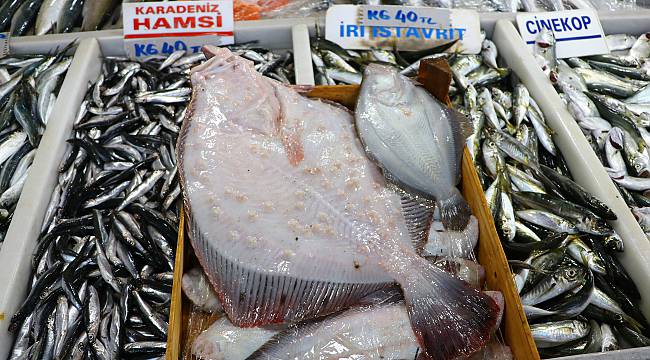 Kalkanın Kilogramı 200 Liradan Satılıyor
