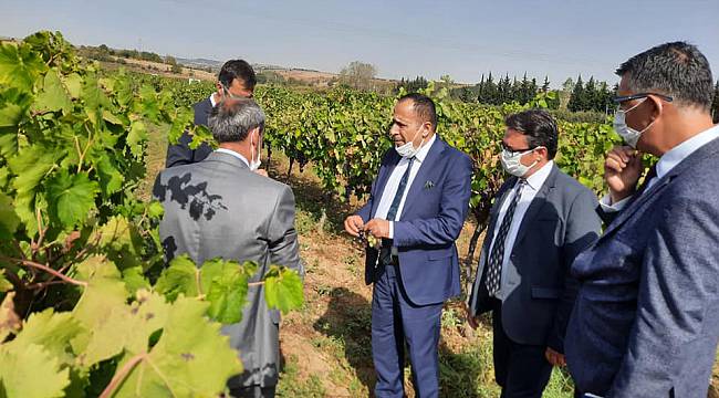 Kalyoncu'dan Tekirdağ Bağcılık Araştırma Enstitüsüne Ziyaret