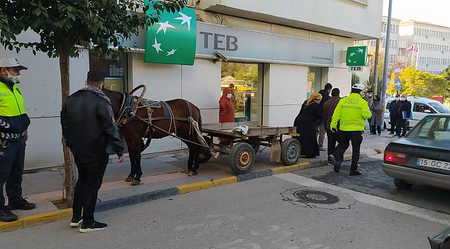 At Arabasını Kaldırıma Bırakan Kişiye Para Cezası Uygulandı