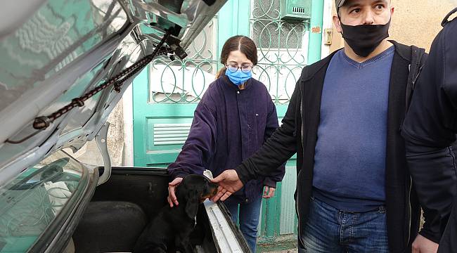 Otomobil Bagajına Bırakılan Köpek Yavrusu Vatandaşları Harekete Geçirdi