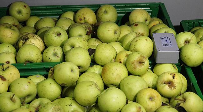Türk Mühendislerin Geliştirdiği Cihazla Hasat Sonrası Kayıp Azaltılacak