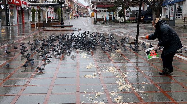 Edirneli Hayvansever Belediye Personeli, Kısıtlamada Meydanlardaki Güvercinleri Unutmadı