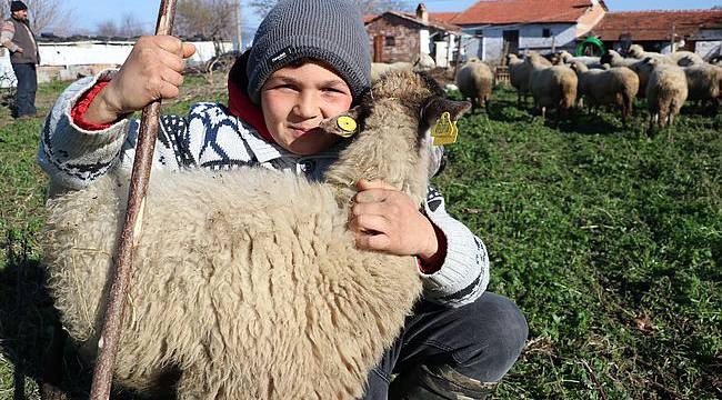 Balıkesirli Küçük Çoban Şevki, Hayatın Sırrını Çözmüş!