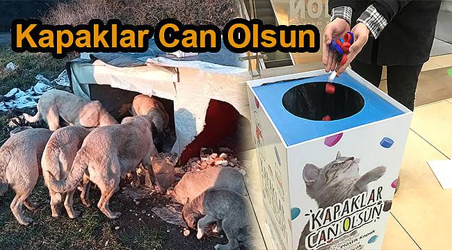 Kapaklar Can Olsun, Doğa Korunsun