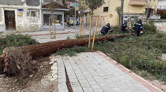 Sakarya'da Fırtına ve Şiddetli Rüzgar Mahalleyi Elektriksiz Bıraktı