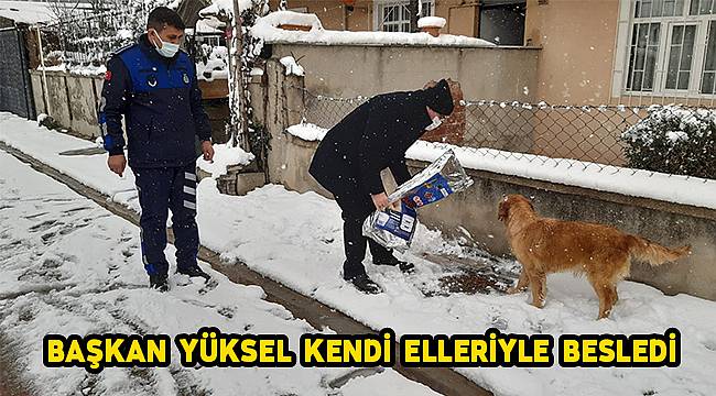 Başkan Yüksel Sokak Hayvanlarını Elleriyle Besledi