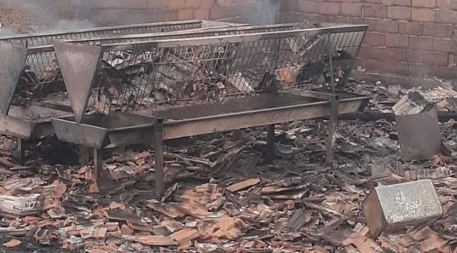Bilecik'te Yanan Ahırda 58 Küçükbaş Hayvan Telef Oldu