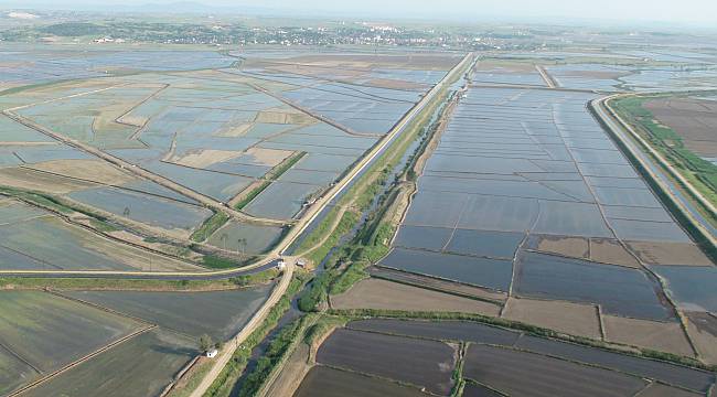 Bu Tesis Çiftçilere Yıllık 272 Milyon 950 Bin Lira İlave Gelir Sağlıyor