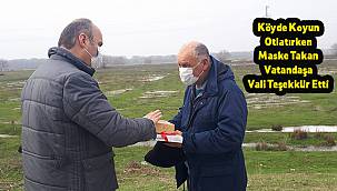 Köyde Koyun Otlatırken Maske Takan Vatandaşa Vali Teşekkür Etti