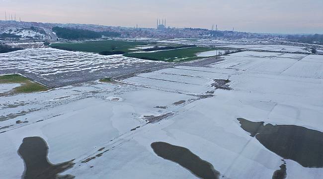 Soğuk Hava Nedeniyle Nehir Kenarındaki Tarlalar Buz Tuttu