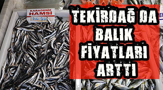 Tekirdağ'da Balık Fiyatları Arttı
