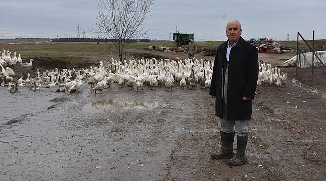 Hobi Olarak Başladı, Gelir Kapısı Oldu