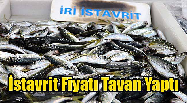 İstavrit Fiyatı Tavan Yaptı
