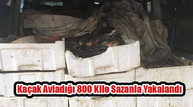 Kaçak Avladığı 800 Kilo Sazanla Yakalandı
