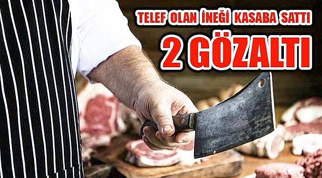 Telef Olan İneği Kasaba Sattı, 2 Gözaltı
