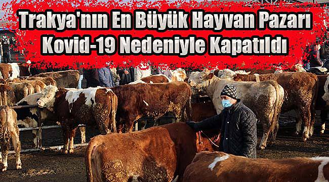Trakya'nın En Büyük Hayvan Pazarı Kovid-19 Nedeniyle Kapatıldı