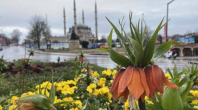 Edirne'de Sağanak Etkili Oluyor