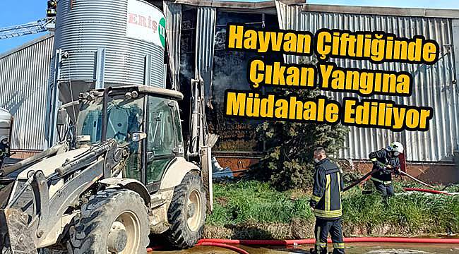 Hayvan Çiftliğinde Çıkan Yangına Müdahale Ediliyor