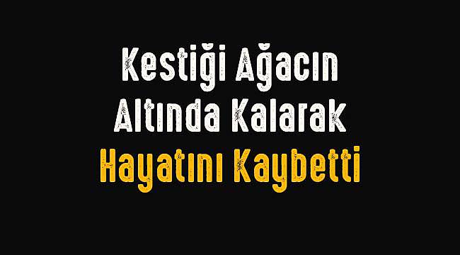 Kestiği Ağacın Altında Kalarak Hayatını Kaybetti