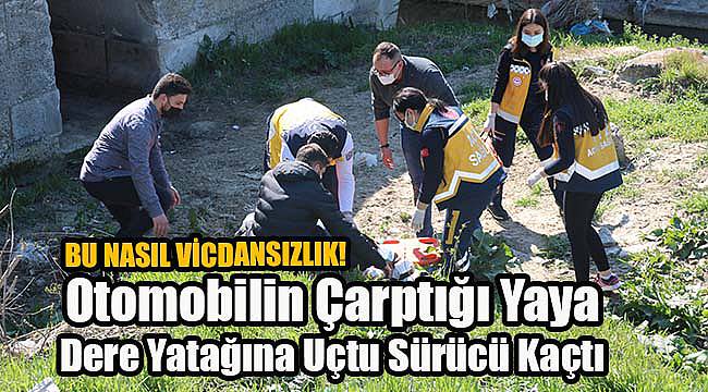 Otomobilin Çarptığı Yaya Dere Yatağına Uçtu Sürücü Kaçtı