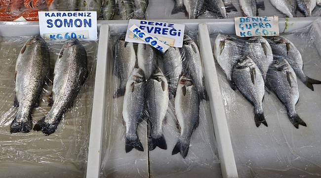 Balık Fiyatları El Yakıyor