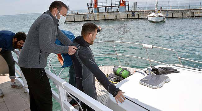 Kocaeli'de Denize Düşerek Kaybolan Kedinin Yavrularına Esnaf Sahip Çıktı