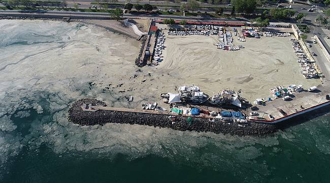 Küçük Tekne Balıkçıları Deniz Salyası Nedeniyle Denize Açılamıyor
