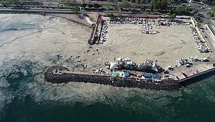 Küçük Tekne Balıkçıları Deniz Salyası Nedeniyle Denize Açılamıyor