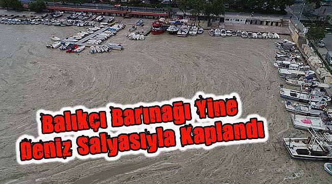 Tekirdağ'da Balıkçı Barınağı Yine Deniz Salyasıyla Kaplandı