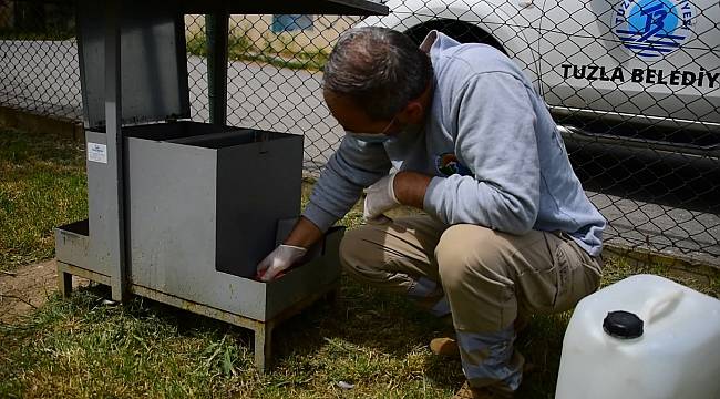 Tuzla'da, Tam Kapanmada Sokak Hayvanları Unutulmadı