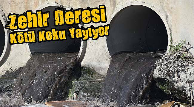 Zehir Deresi Kötü Koku Yayıyor