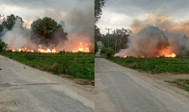 Çan'da Fırtınada Kopan Elektrik Telleri Ekili Arazide Yangın Çıkardı