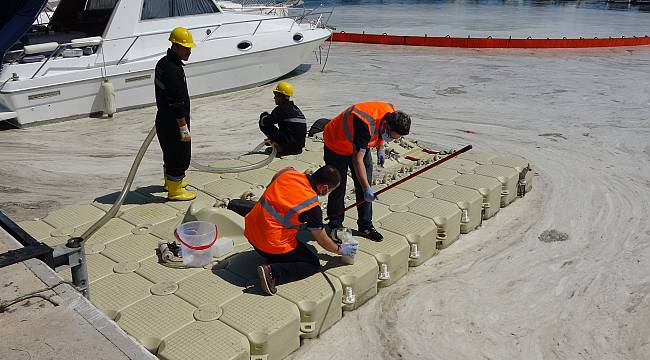 Çanakkale Boğazı ve Gemlik Körfezi'nde Müsilaj Etkisini Sürdürüyor