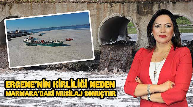 CHP'li Yüceer, "Müsilaj Ergene Nehri'nin Sonucudur!"