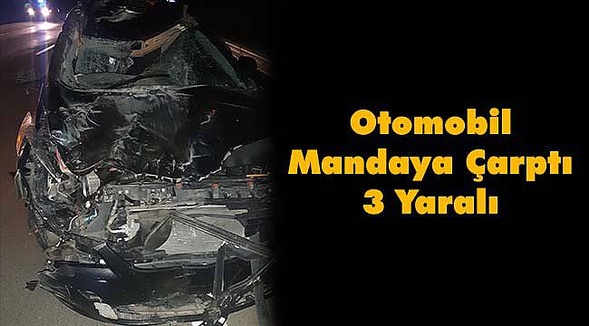 Otomobil Mandaya Çarptı, 3 Yaralı