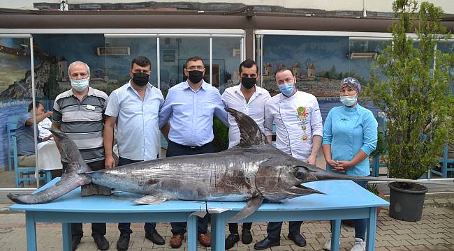 Saros Körfezi'nde 3 Metrelik Kılıç Balığı Yakalandı