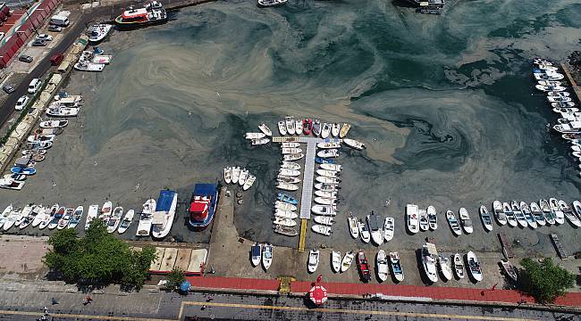 Tekirdağ Kıyılarında Müsilaj Yoğunluğu Arttı