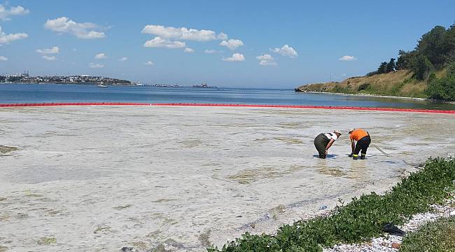 Tekirdağ Sahillerinden 112 Metreküp Müsilaj Temizlendi