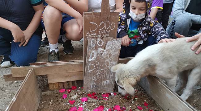 Yavru Köpeği Ezerek Öldüren Sürücüye Para Cezası Verildi